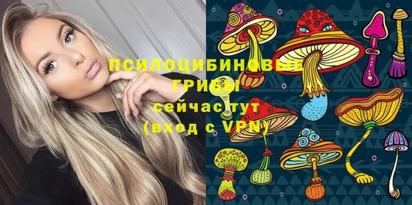 винт Верея