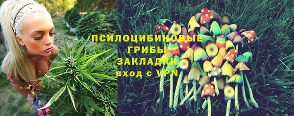ПСИЛОЦИБИНОВЫЕ ГРИБЫ Верхнеуральск