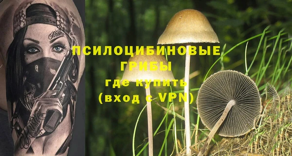 ПСИЛОЦИБИНОВЫЕ ГРИБЫ Верхнеуральск