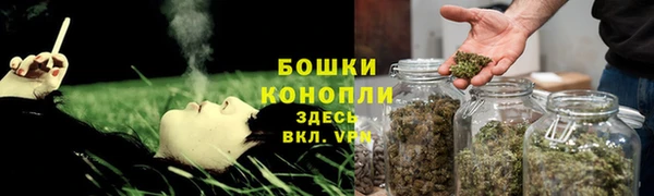 винт Верея