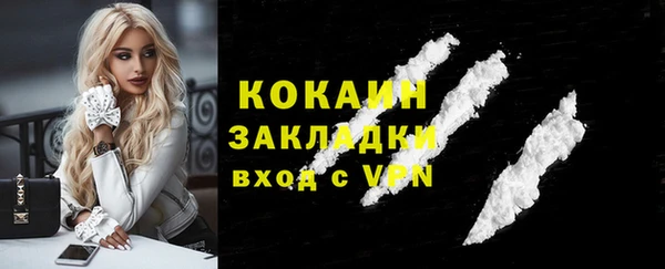 винт Верея