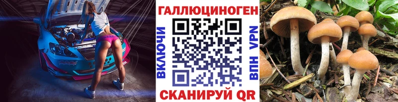 Псилоцибиновые грибы MAGIC MUSHROOMS  Тольятти 